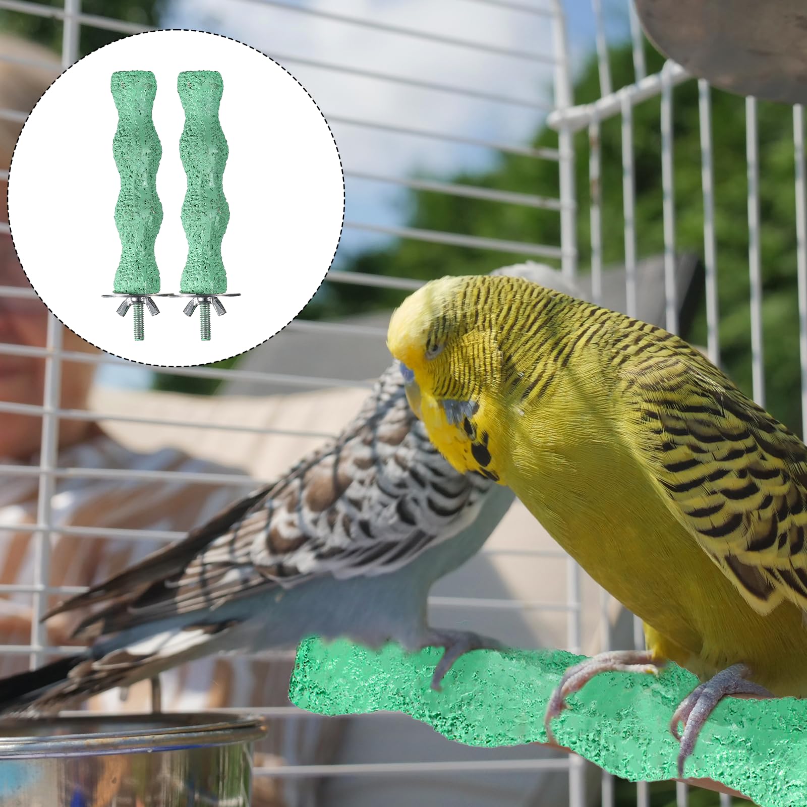 Xelsluthe diseño vibrante para aves, reduce estrés y favorece la interacción