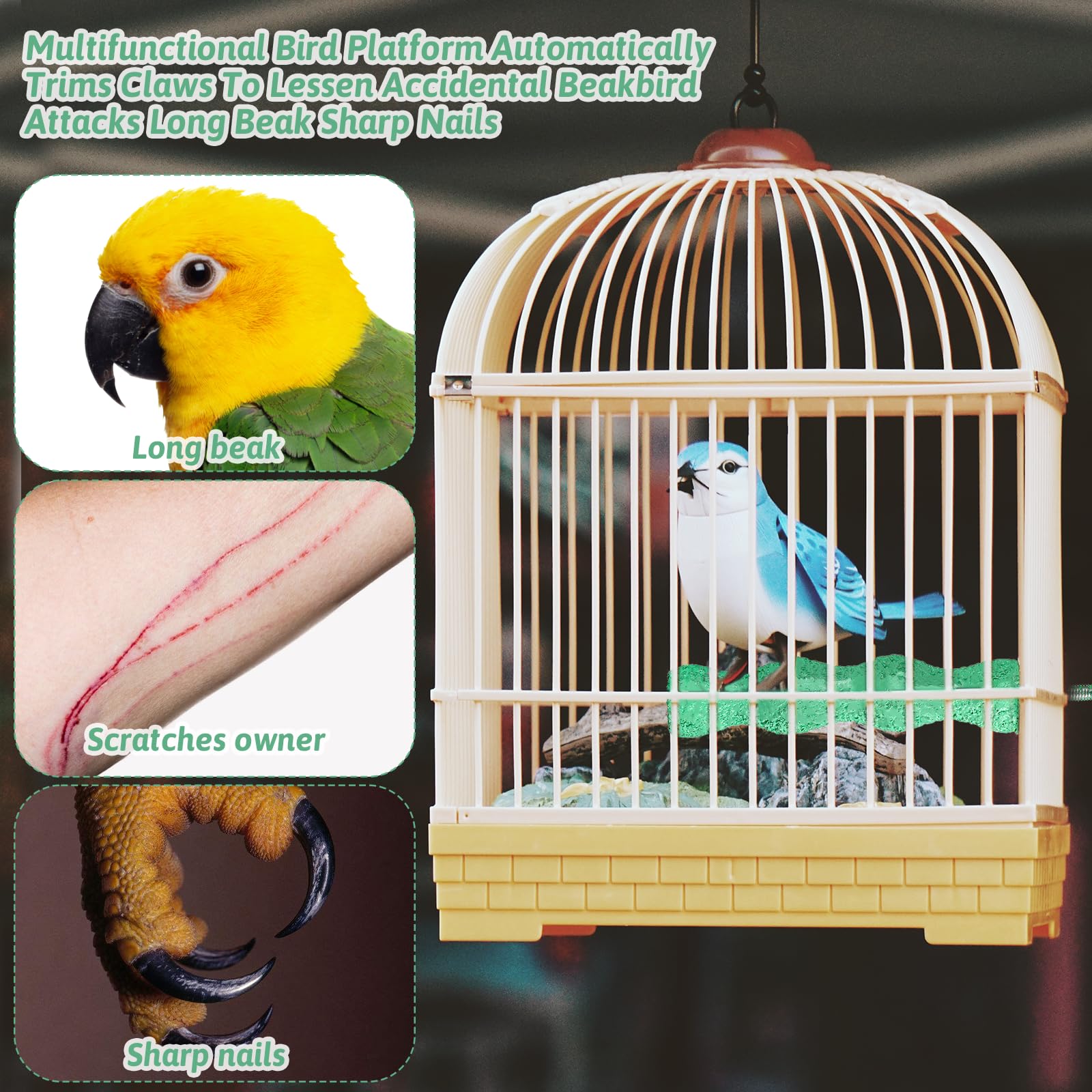 Xelsluthe plataforma para aves, espacio multifuncional para ejercicio