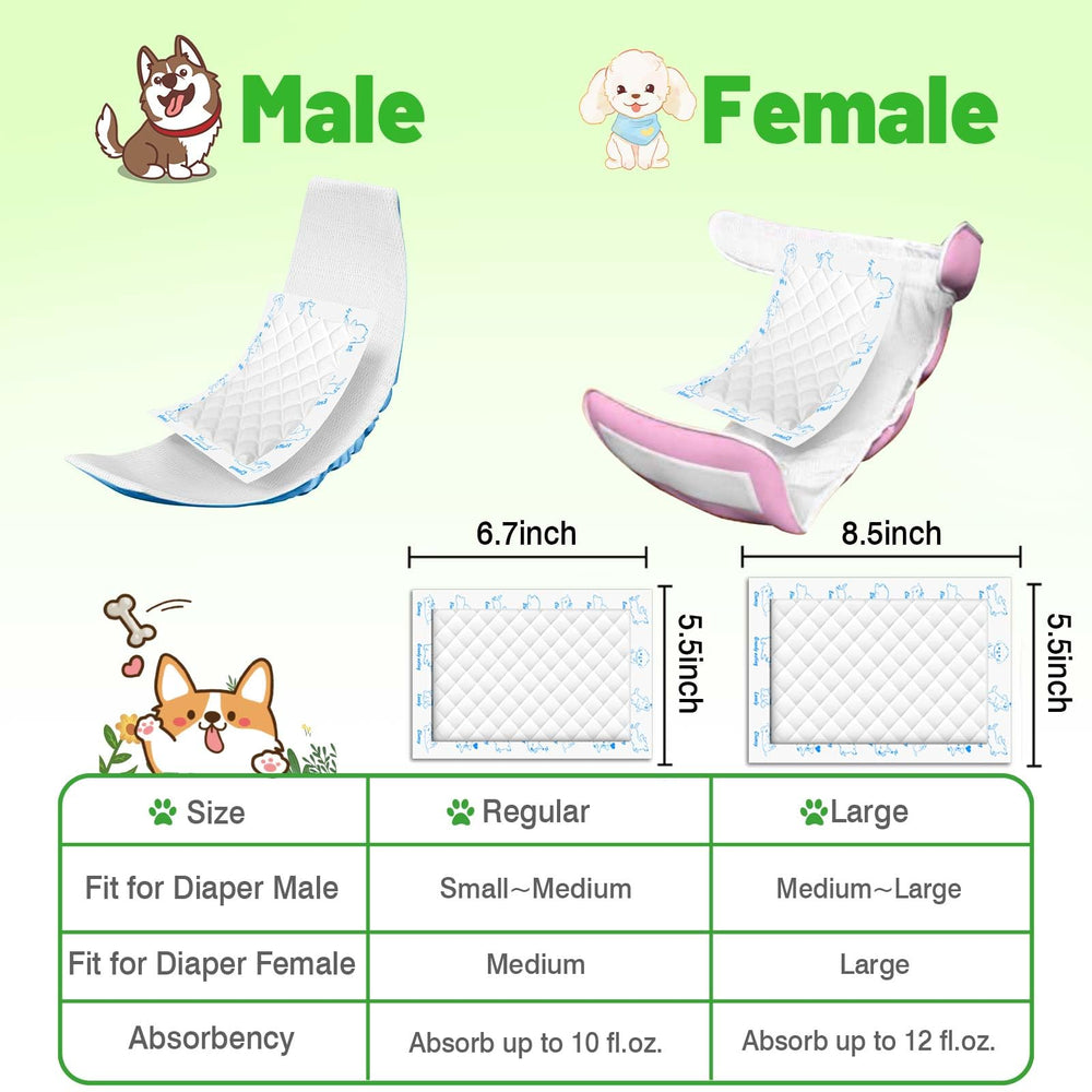 Xfire tallas S/M y Large compatibles con pañales caninos
