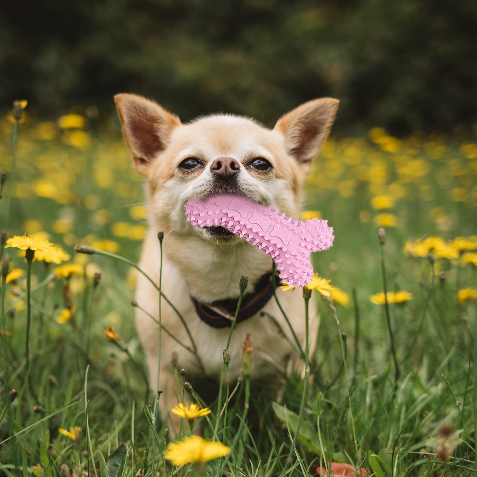 XGDMEIL juguete interactivo rosado para mantener ocupado al cachorro