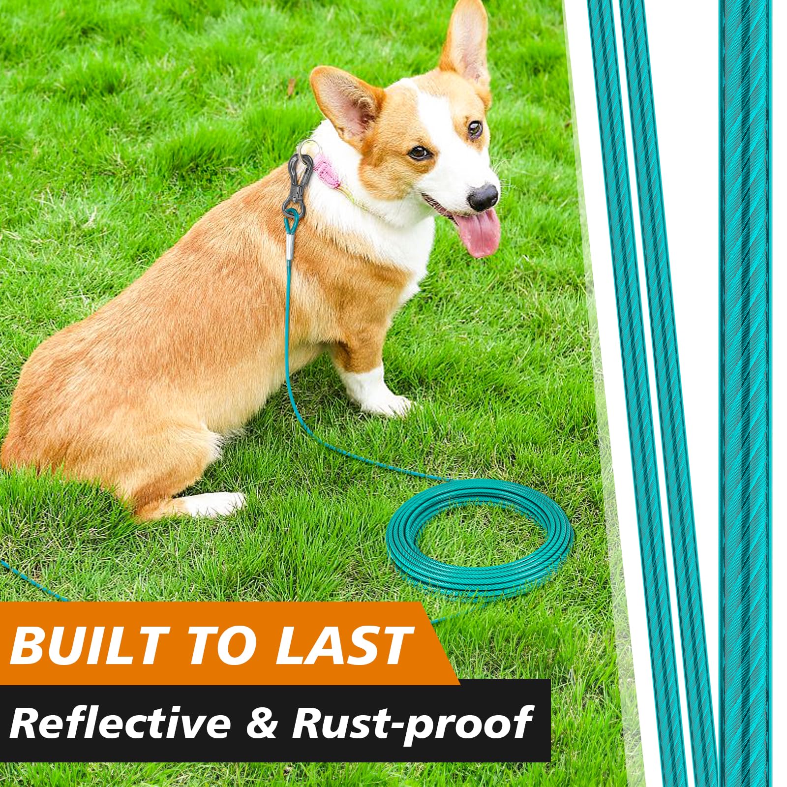 XiaZ cable para perro de 50 pies en teal, alcance amplio y visible