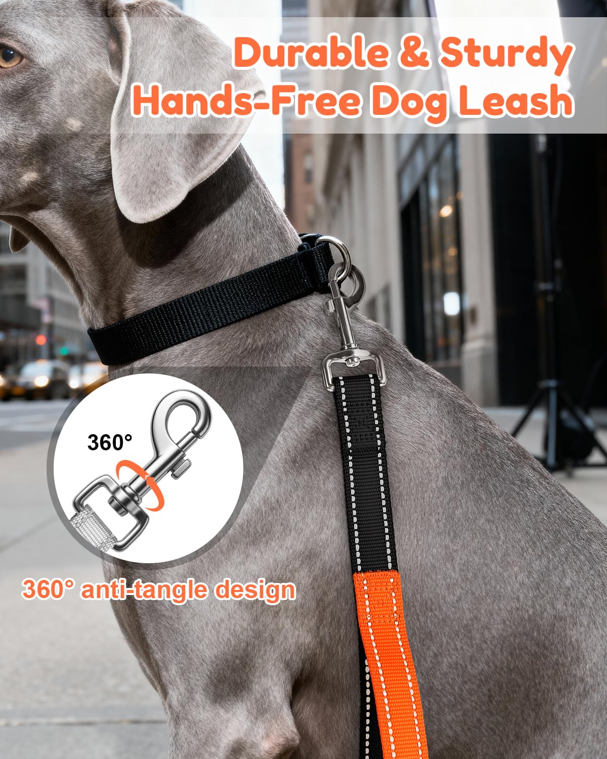 XiaZ longitud ajustable para perros pequeños, medianos y grandes.