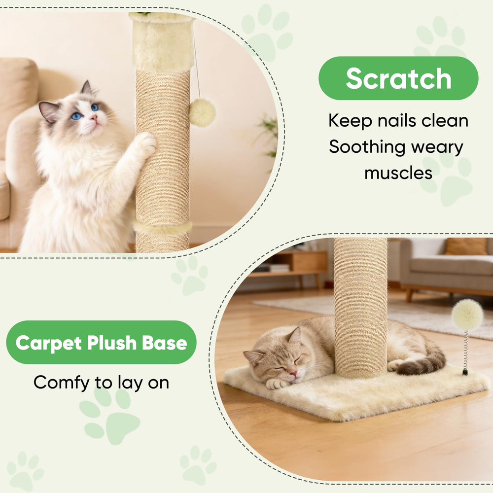 XiaZ poste 2,8 pulgadas ideal para gatos pequeños