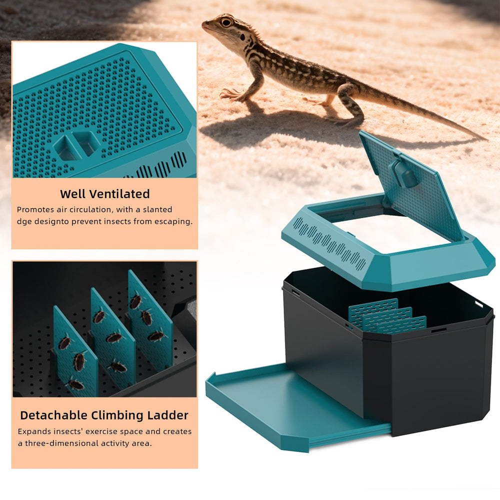 XIGETRAIL hábitat para gusanos de pan en entorno oscuro y cómodo.