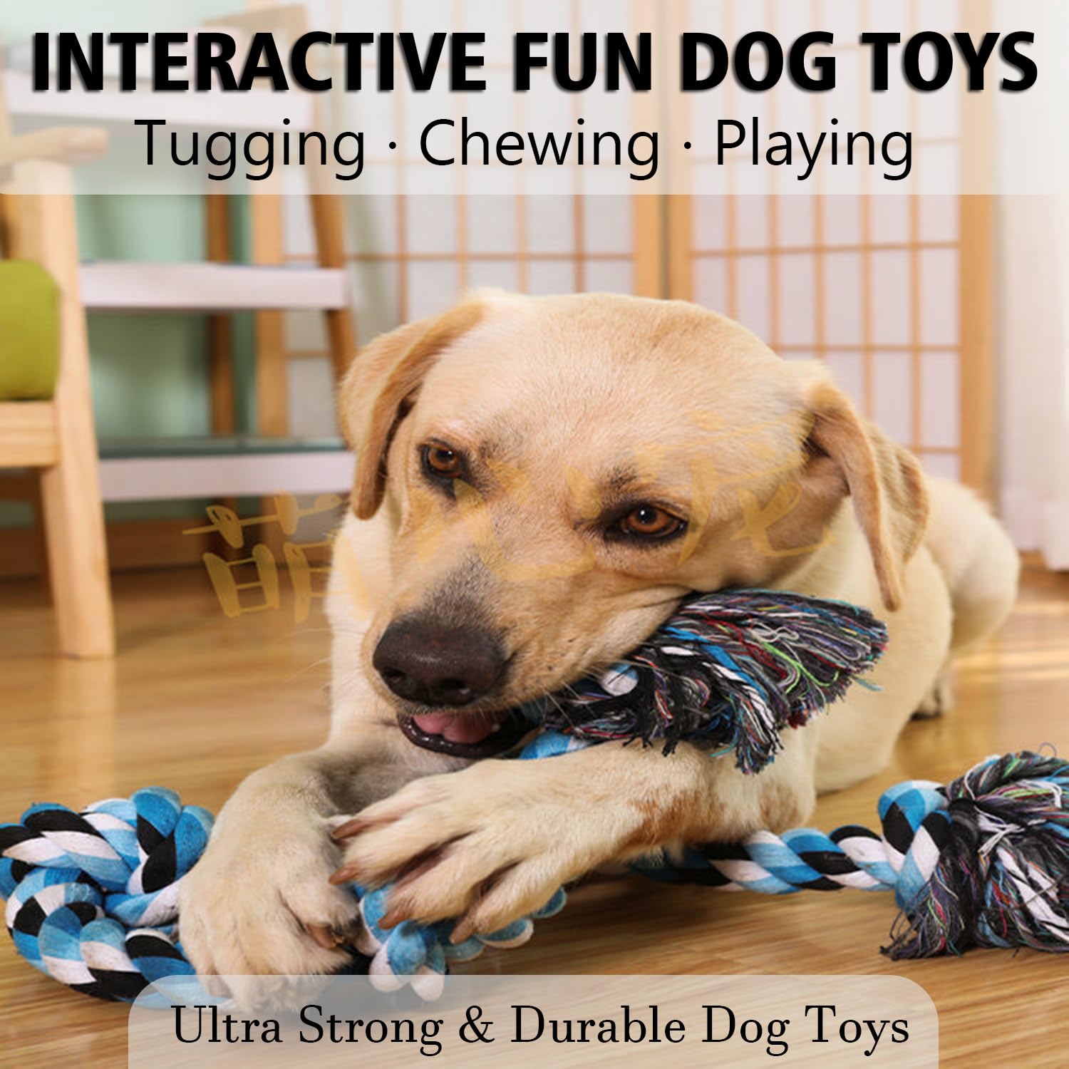 Cuerda para juego de tracción XIGOU, perfecto para perros grandes.