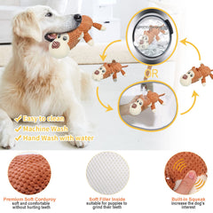 Hueso molar XLMYS para perros, diseño seguro para masticar y limpieza suave.