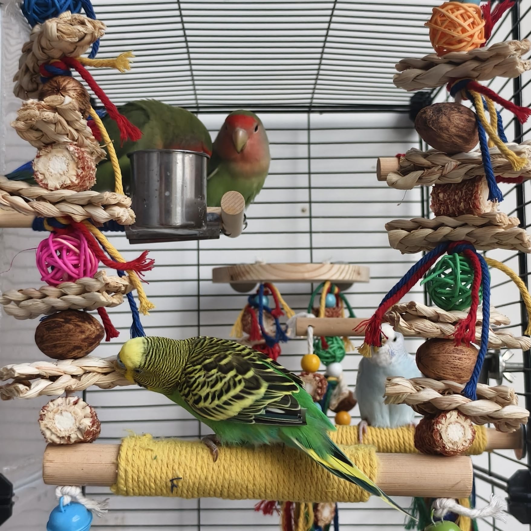Columpio-percha de madera XLpeixin para aves, ejercicio suave diario.