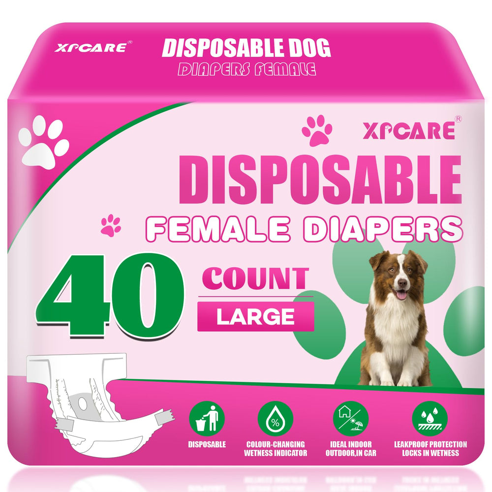 XPCARE diaper para perro hembra con ajuste de cintura para comodidad durante el paseo.
