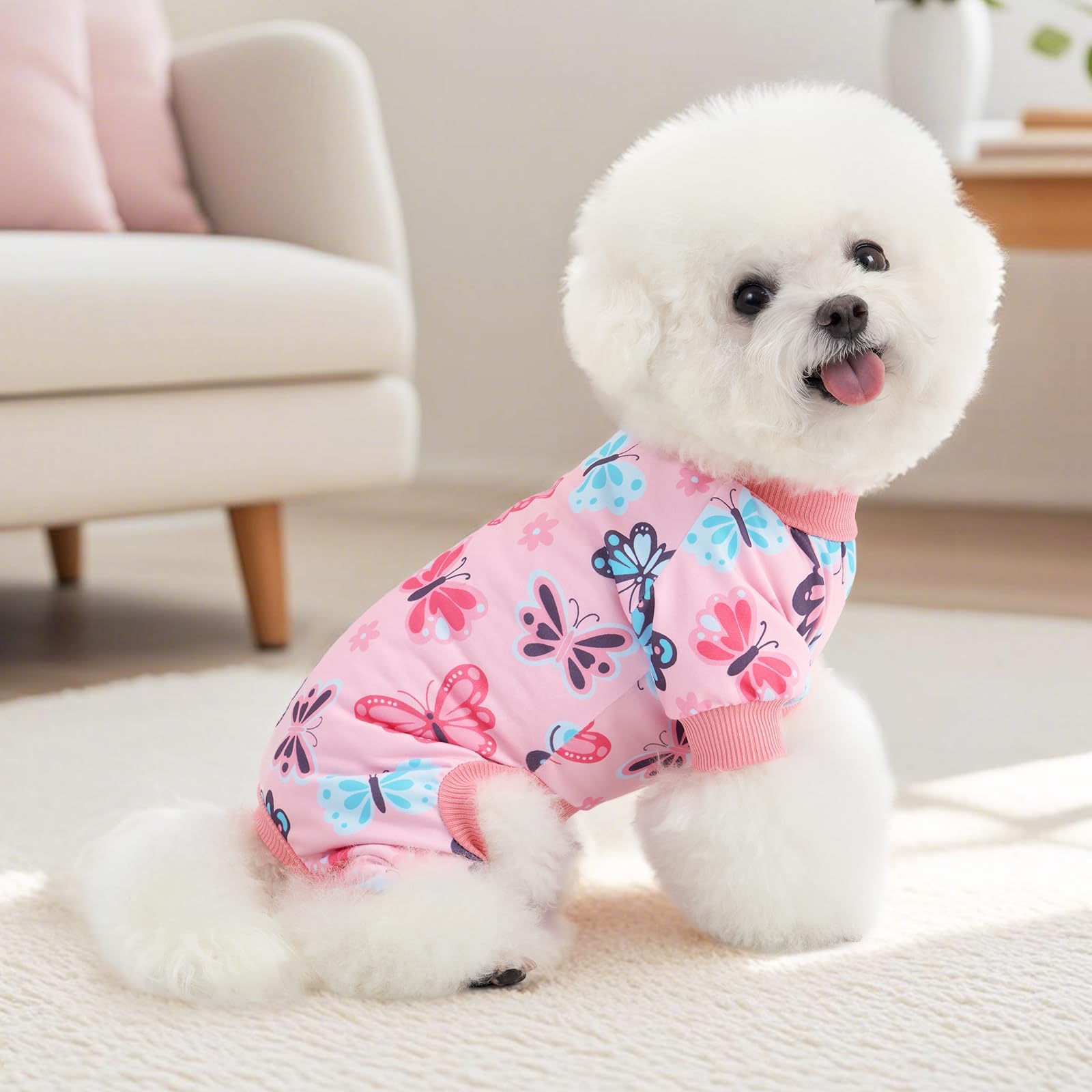 Pijama XPUDAC para perro con corte alto en abdomen, facilita pausas.