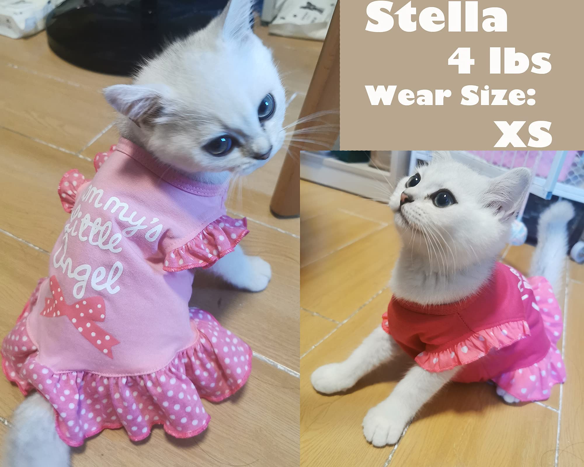 Vestido XPUDAC para perro rosa ángel, dobladillo, perfecto para evento especial.