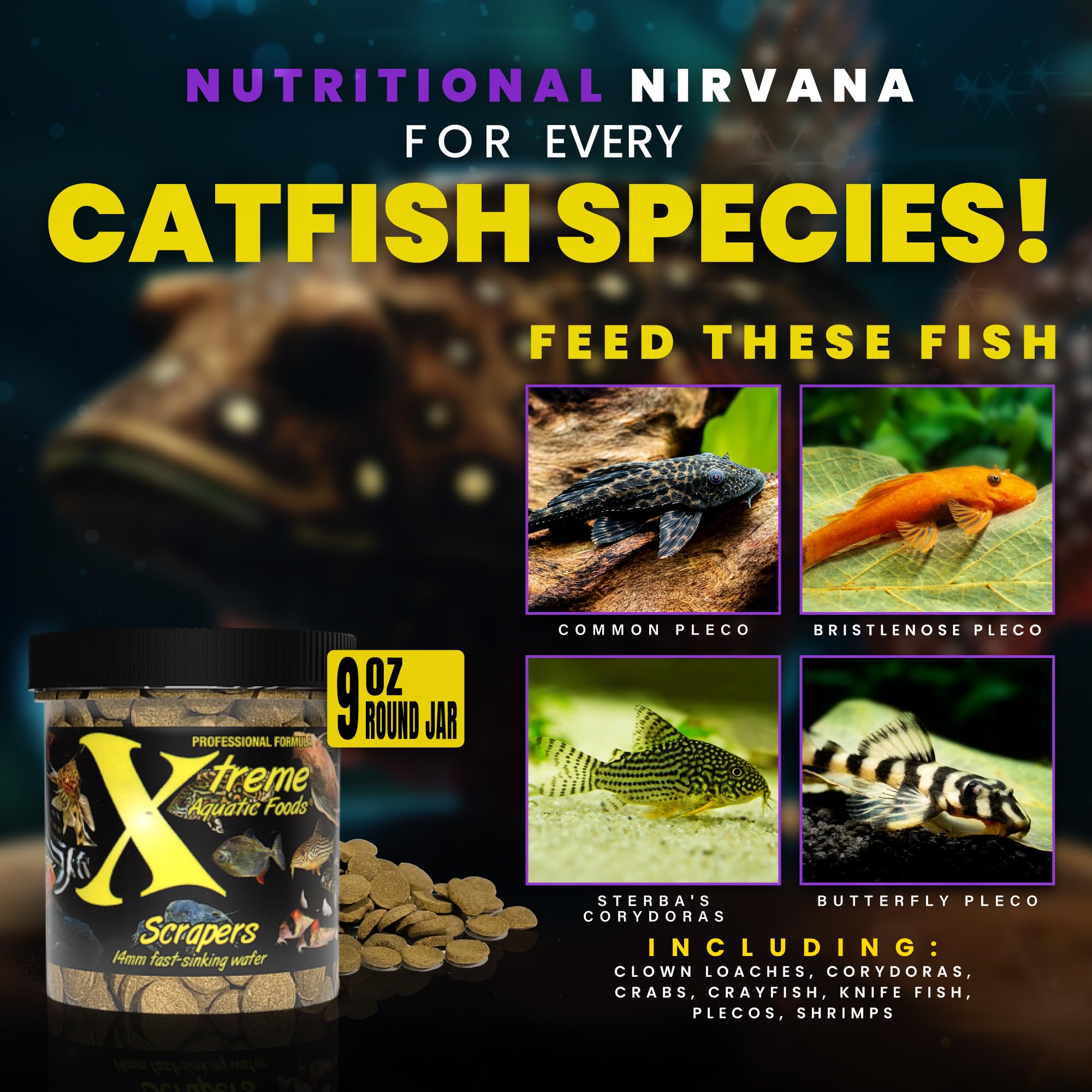 Xtreme Aquatic Foods alimento para bagre y plecostomos con textura estable