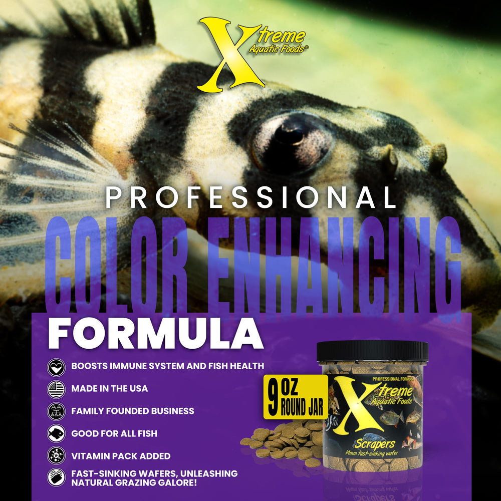 Xtreme Aquatic Foods mezcla de guisantes y algas para un perfil nutritivo