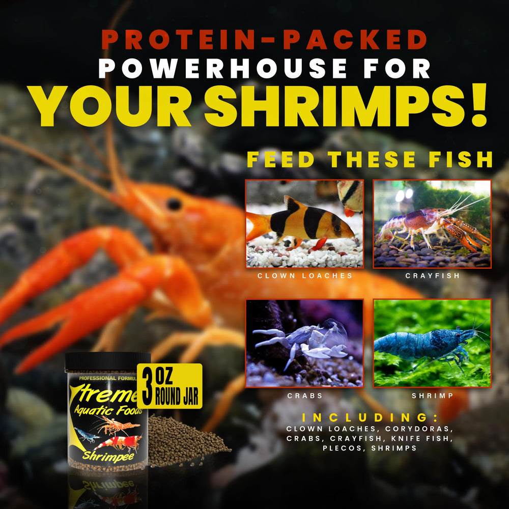 Xtreme Shrimpee nutritivo diario para camarones que favorece la salud y la vitalidad.