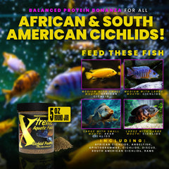 Xtreme Peewee: aminoácidos equilibrados que apoyan salud digestiva e inmunitaria en cíclidos.
