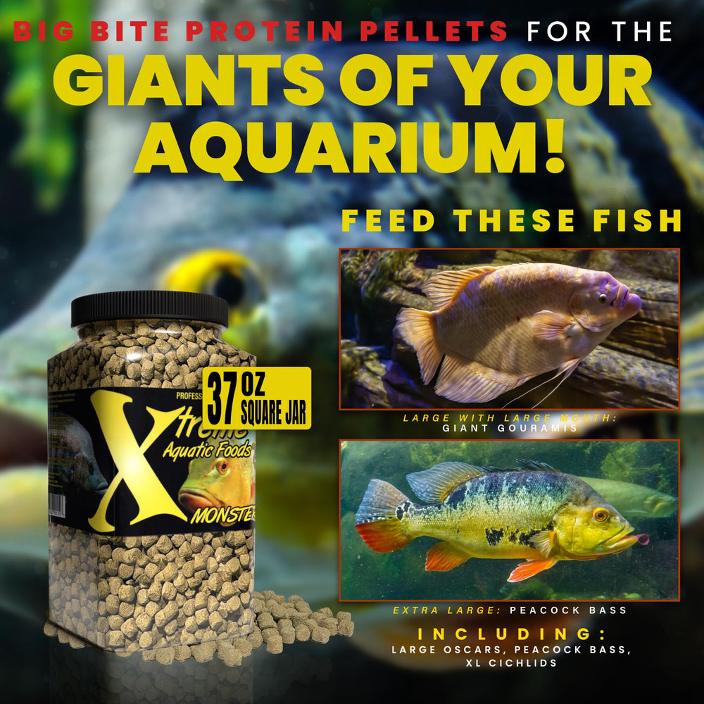 Xtreme Monster Pellets 9mm, spirulina y vitaminas, fortalecen el sistema digestivo y la vitalidad de peces grandes.