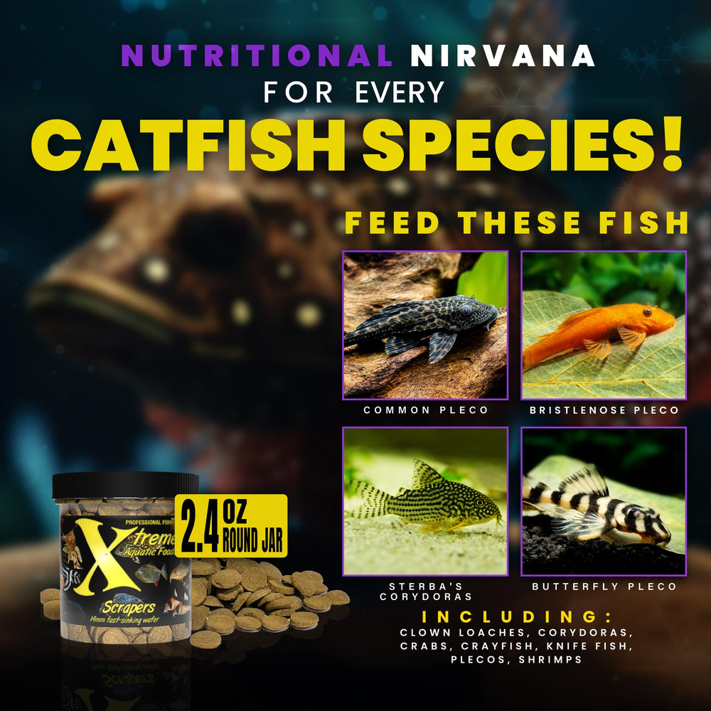 Xtreme Scrapers Wafers: extracto de ortiga para textura y nutrición de los peces.
