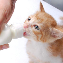 Xuanda pezones silicona medianos, diseño veterinario para una toma natural.