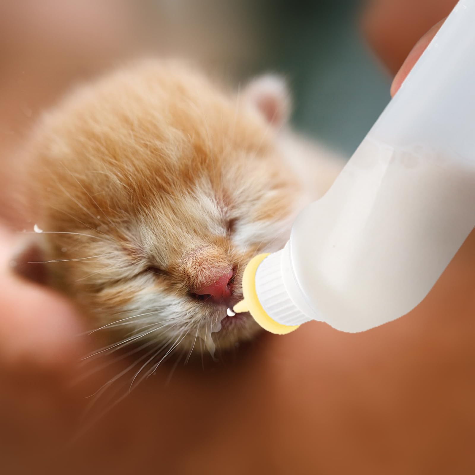 Kit Xuandea para recién nacidos, útil para gatitos, cachorros y otros pequeños.