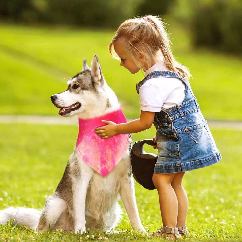 Bandana lavable Xuniea para perro, fácil de lavar y secar