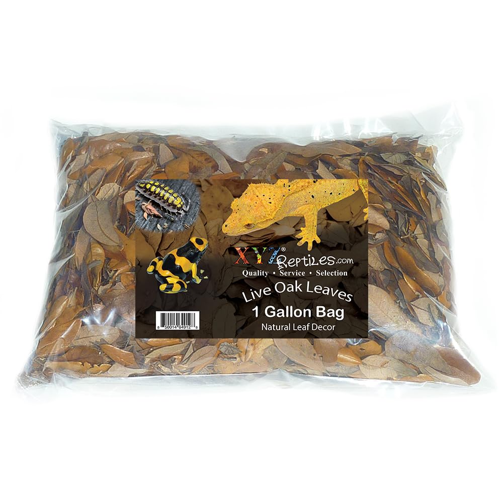 XYZReptiles live oak leaf litter setup scene for isopod habitat.