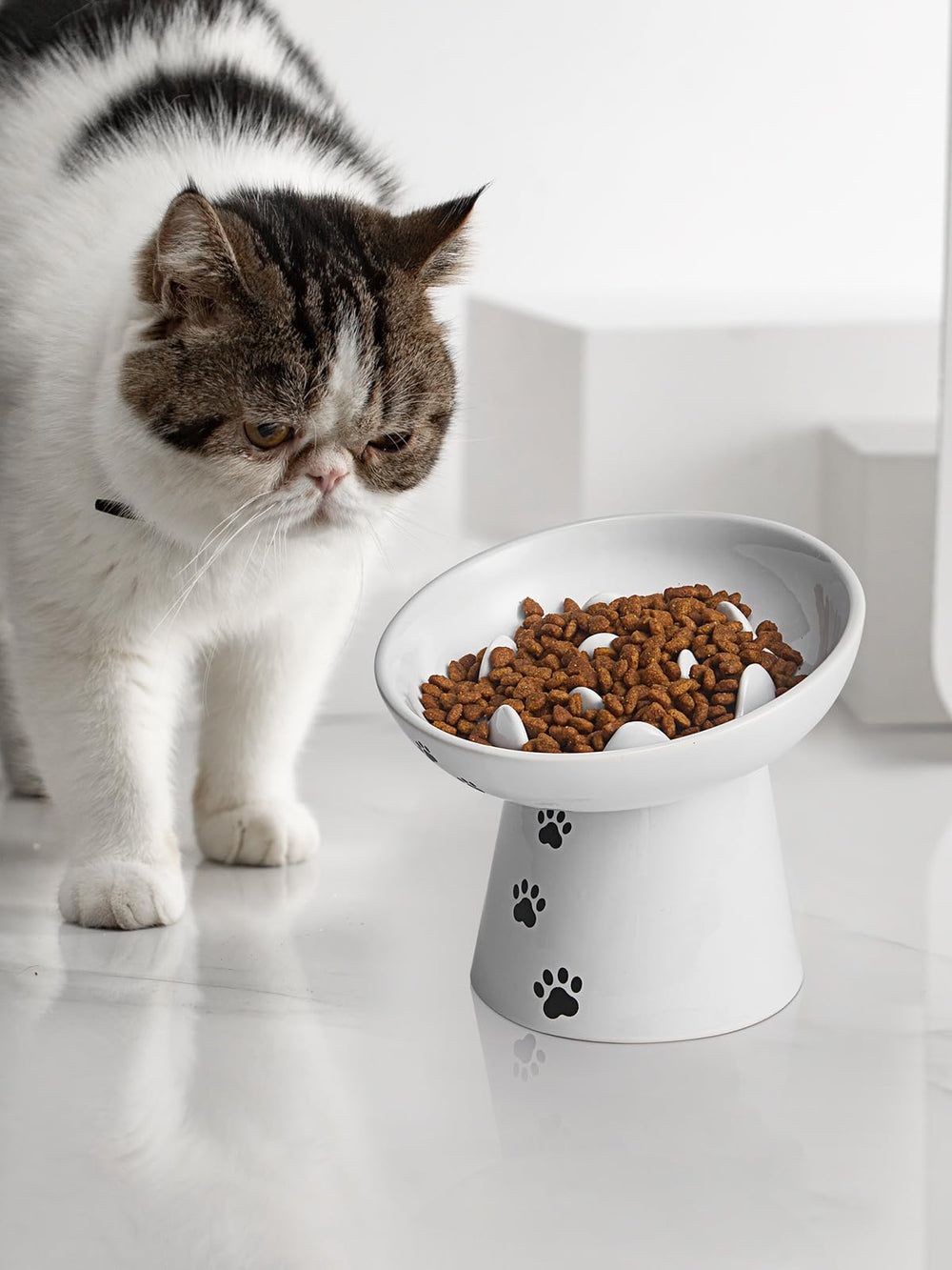 Tazón para gatos de Y YHY, comida estable y menos desorden durante las comidas.