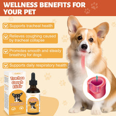Ingredientes naturales Yakucho para tráquea – fomenta bienestar respiratorio de forma suave.