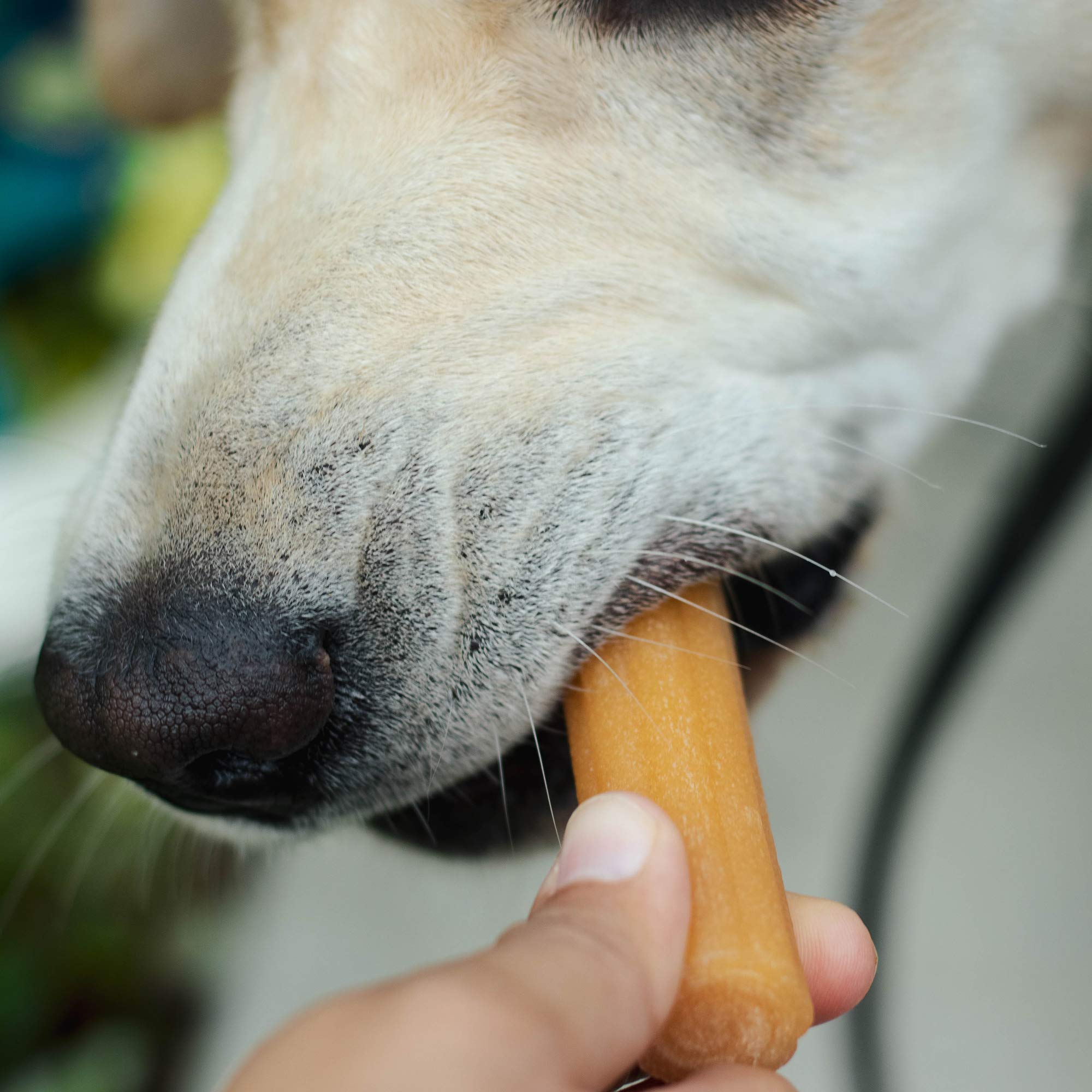 Yaky Churro envase sellado para frescura y sabor constante.