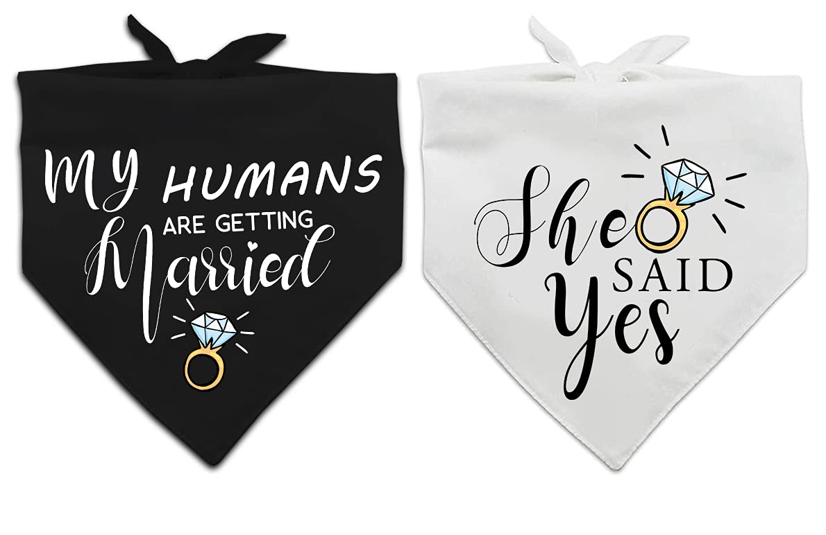 Yangmics Direct: bandana para perro, perfecto para la sesión de boda