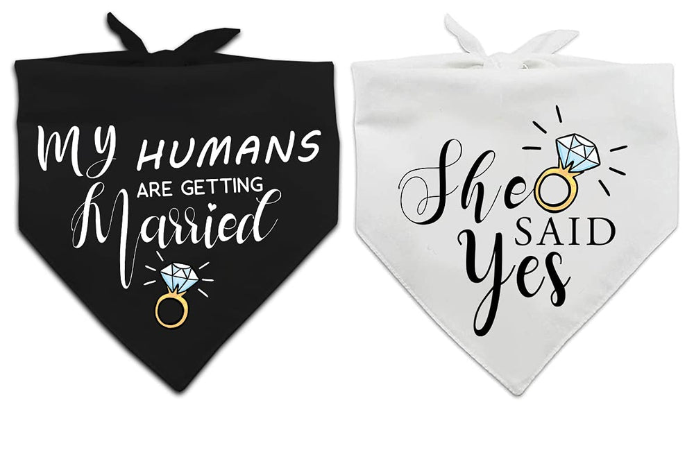 Yangmics Direct: bandana para perro, perfecto para la sesión de boda