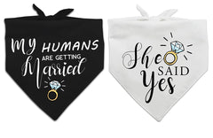 Yangmics Direct: bandana para perro, perfecto para la sesión de boda
