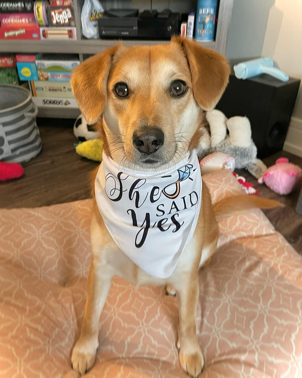 Yangmics Direct: bandana para perro con vestuario de novio, ideal para ceremonias