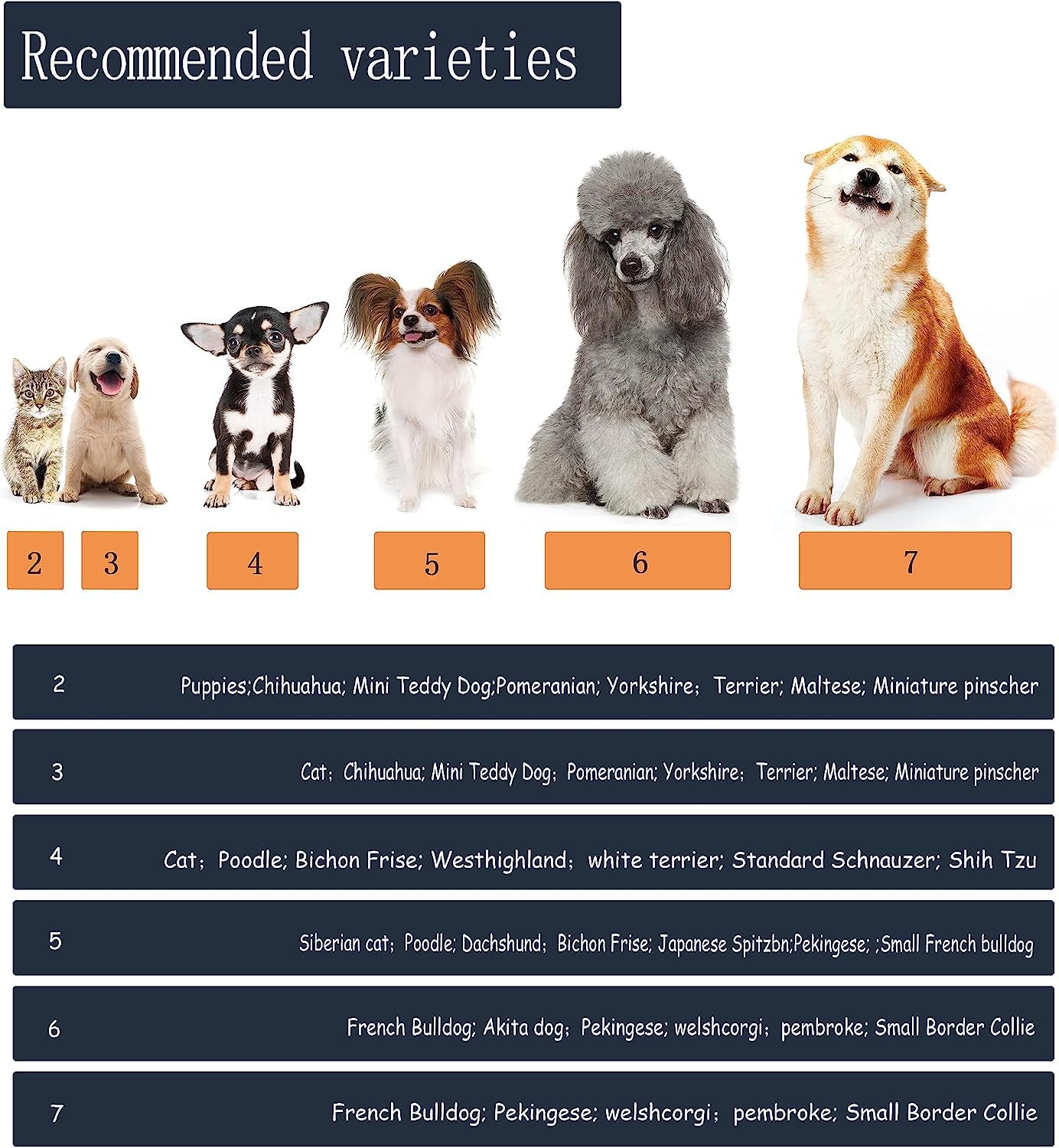YAODHAOD bottes chien reglables et réfléchissantes pour sécurité nocturne.