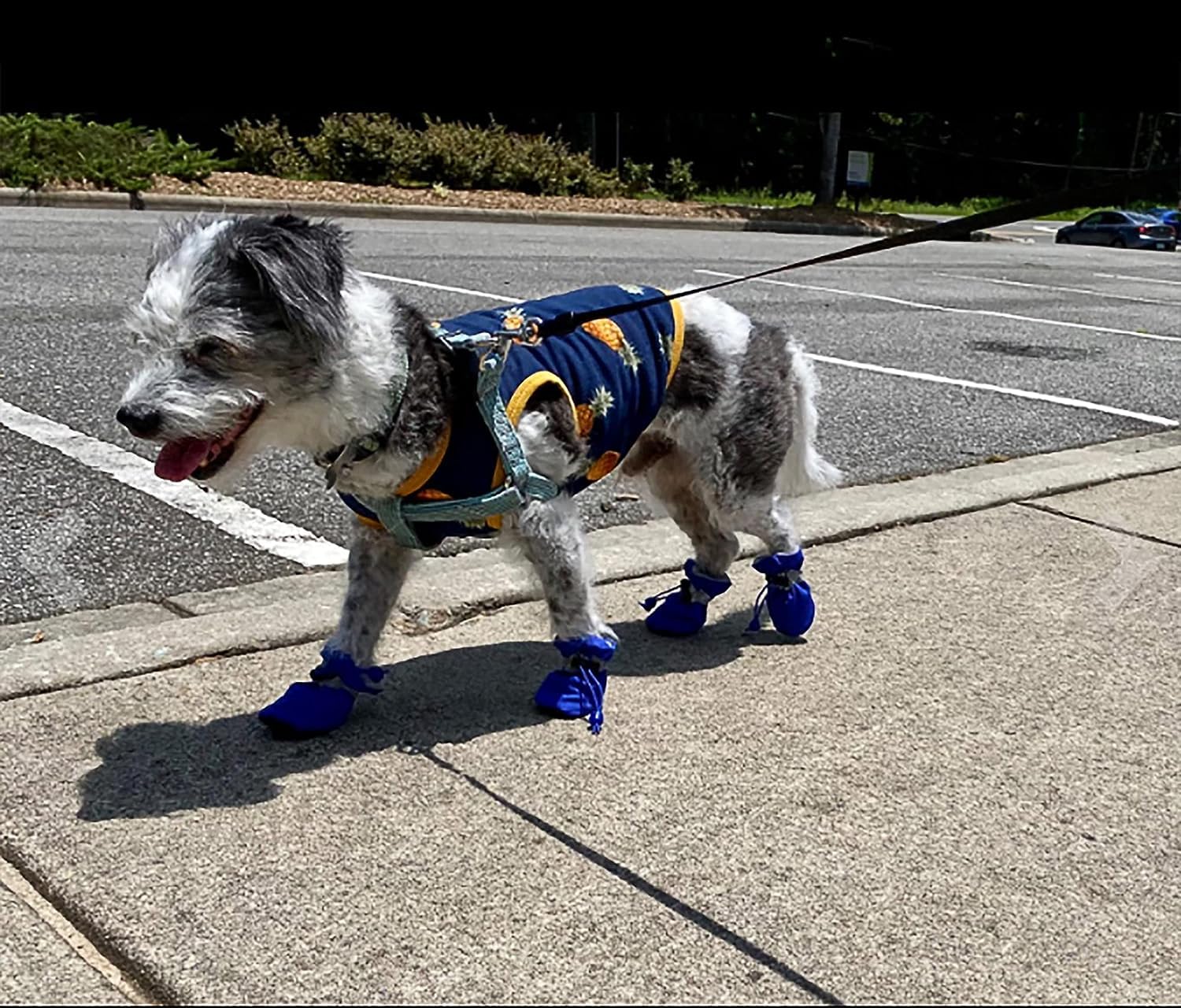 YAODHAOD proteccion-patas-interior zapatillas, suela antideslizante para superficies planas
