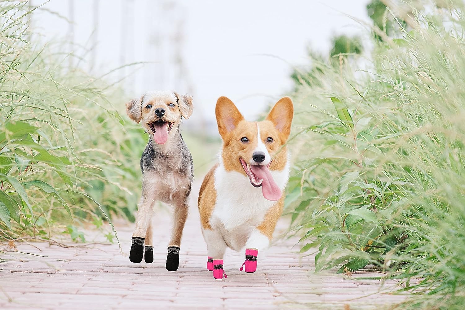 YAODHAOD botas caninas, doble correa ajustable para un ajuste seguro.