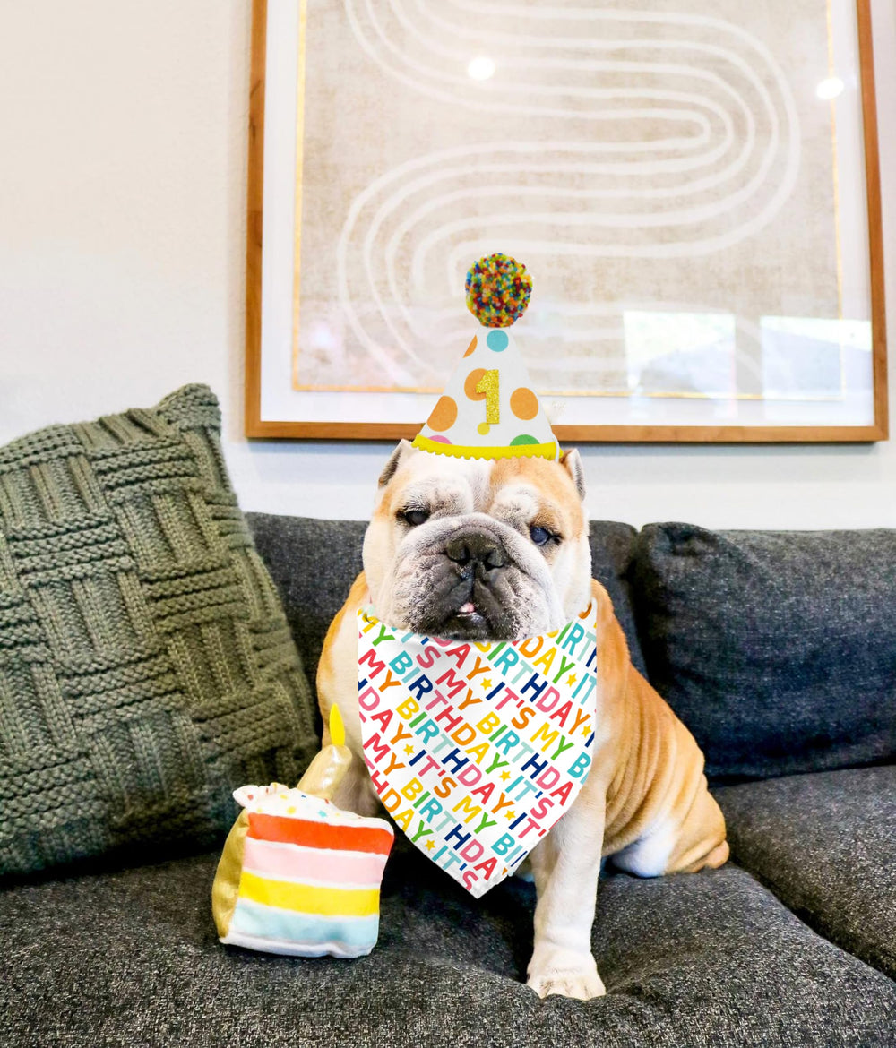 Yaofavo sombrero de cumpleaños para perro con números, perfecto para momentos memorables.