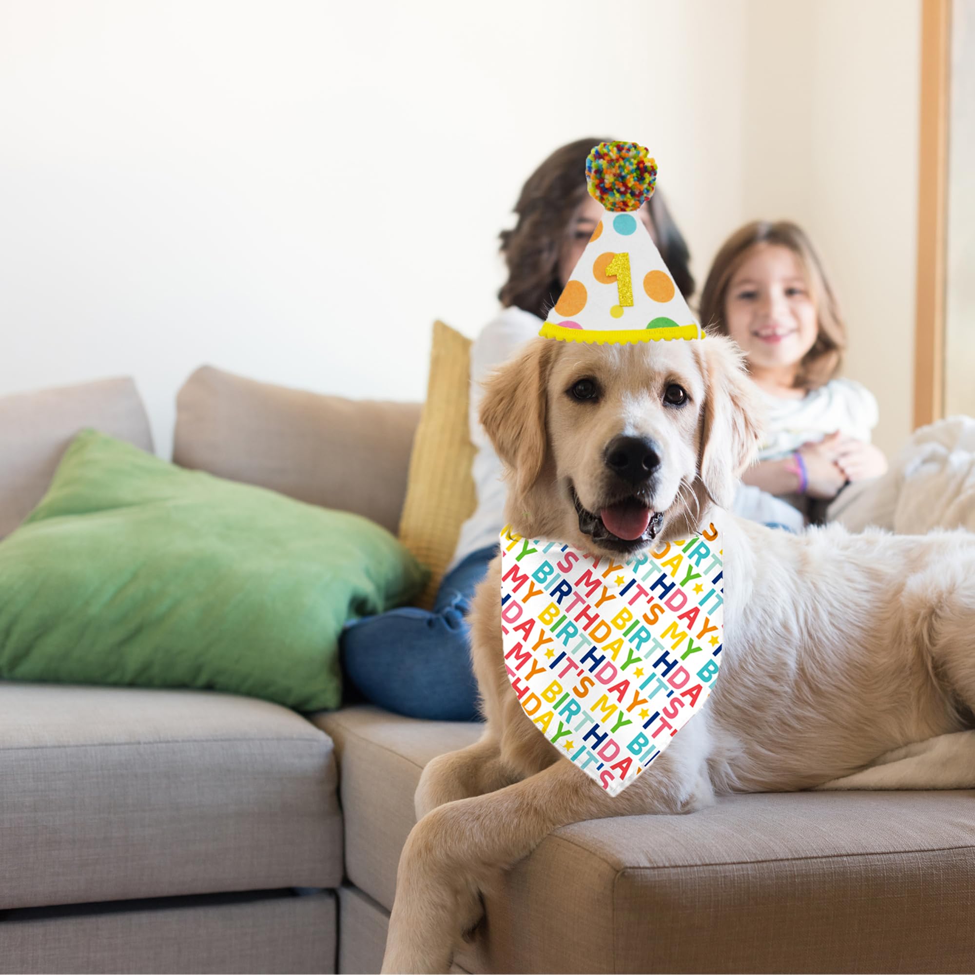 Yaofavo accesorios con tres tallas, cómodo ajuste para perros medianos y grandes.