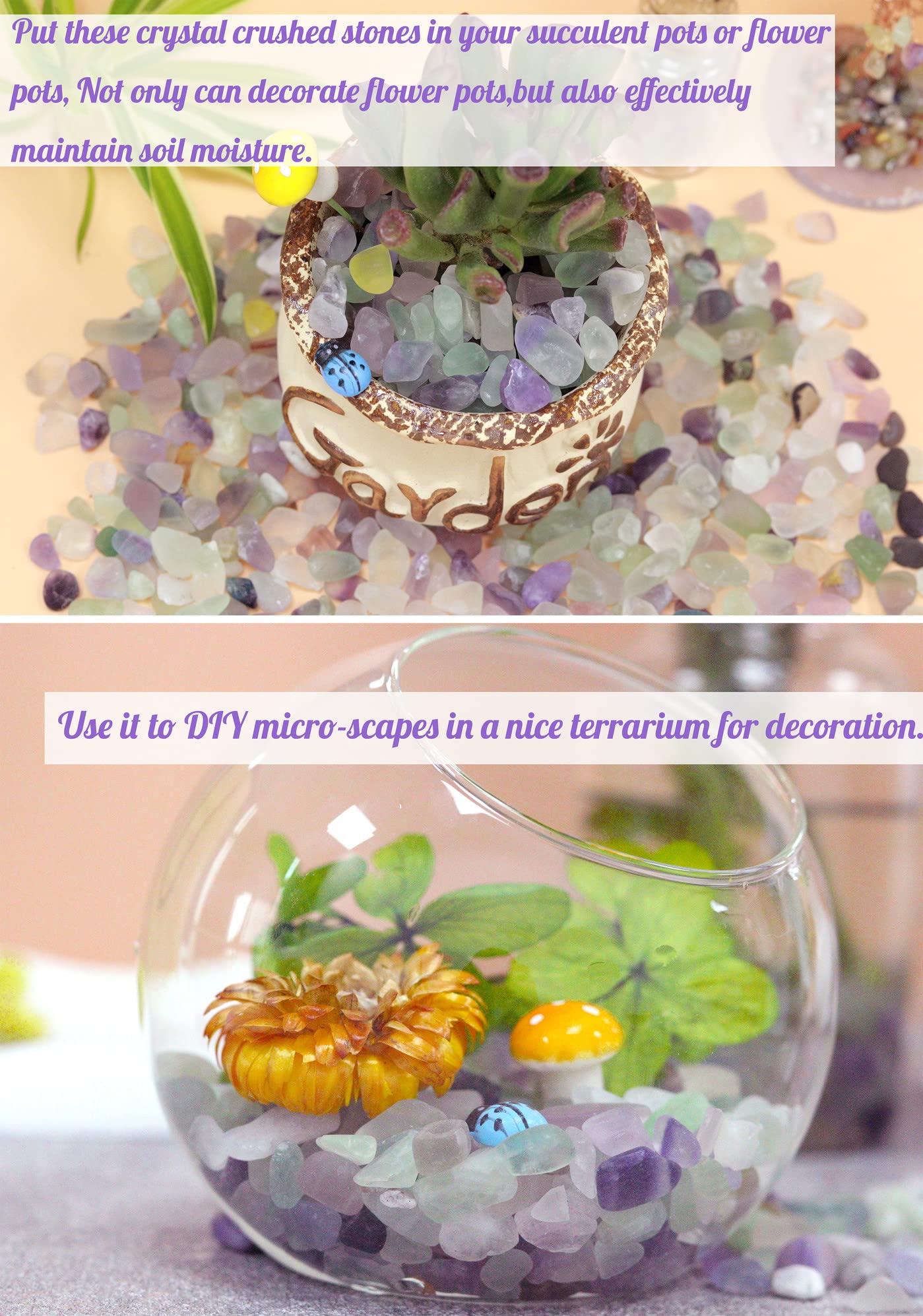 Ojo de tigre para acuario, toques cálidos y naturales de YATOJUZI.
