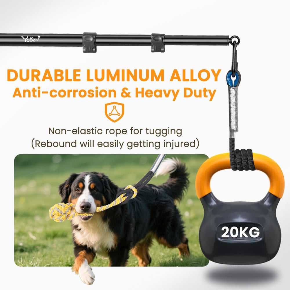 Ycozy conjunto de entrenamiento con 3 juguetes para perros de diferentes tamaños