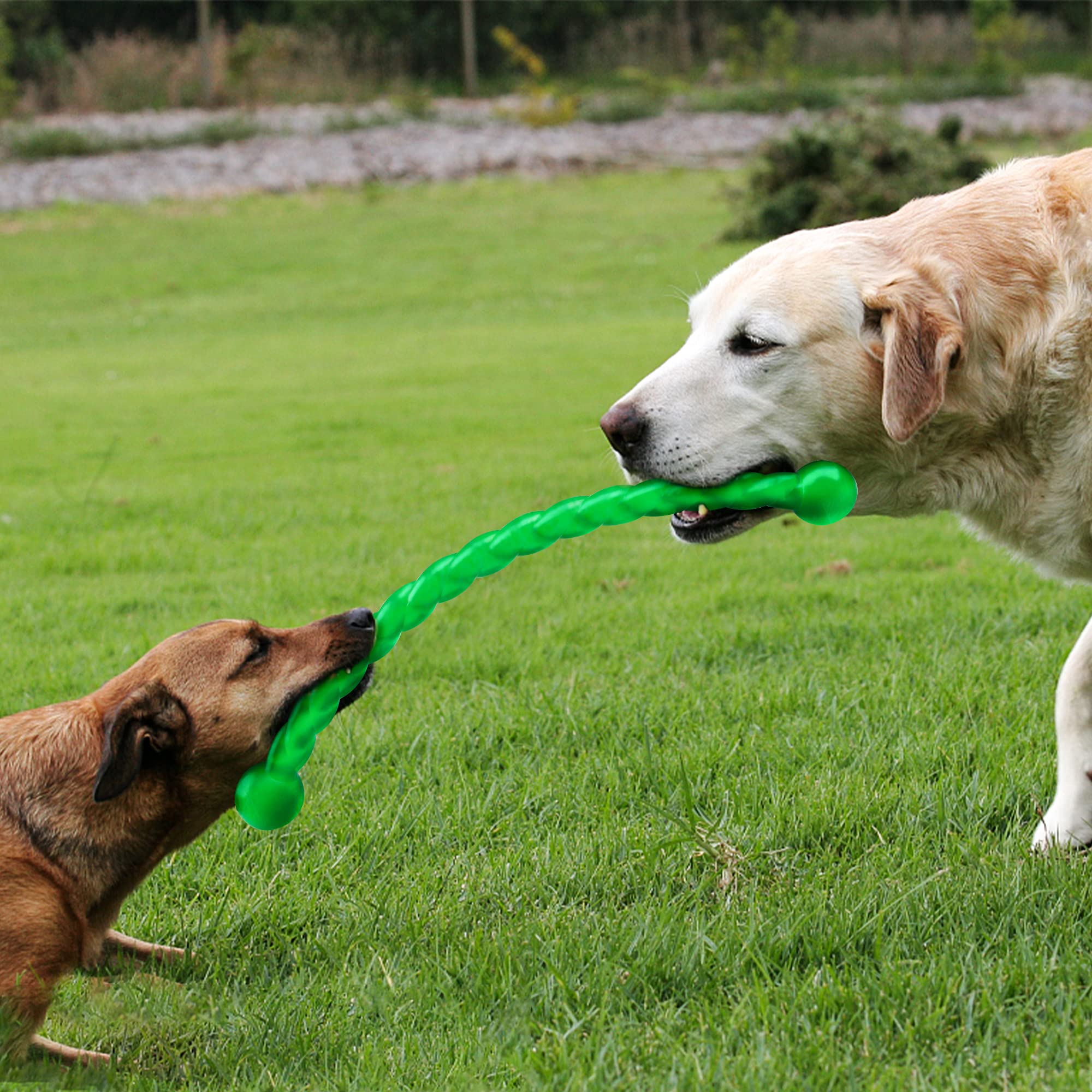 Uso interior y exterior para perros medianos y grandes