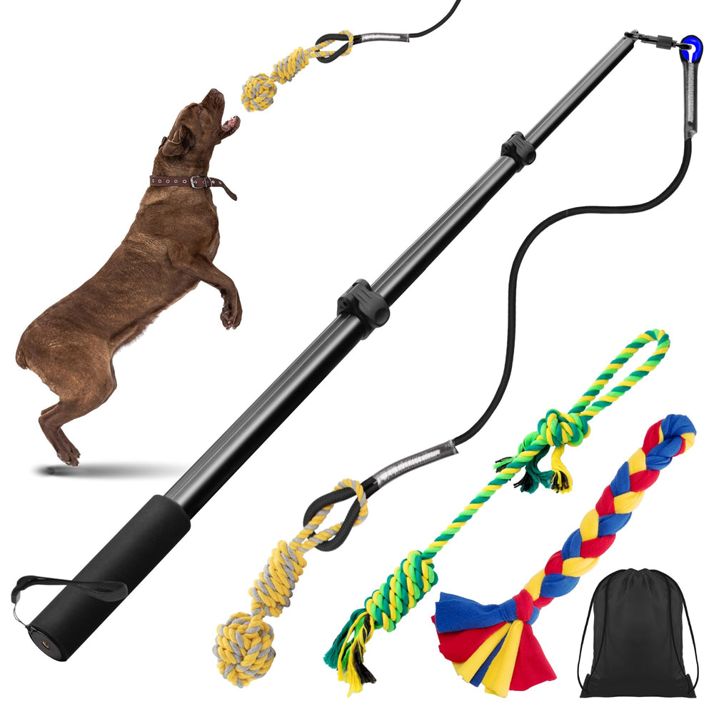 Ycozy varita de entrenamiento para perros con alcance ajustable para sesiones al aire libre