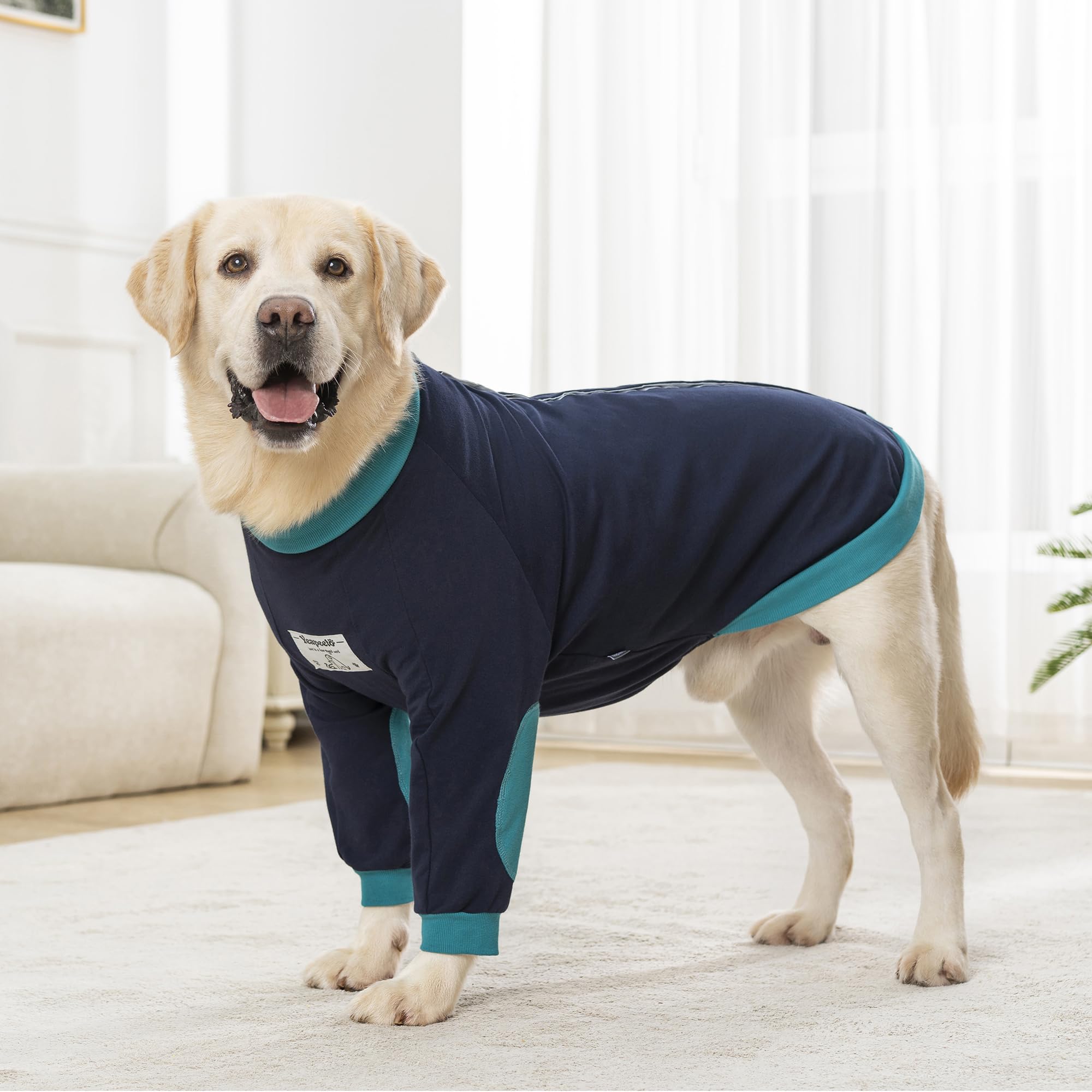 Ajuste seguro Yeapeeto para labradores y perros dorados: sujeción estable y suave.