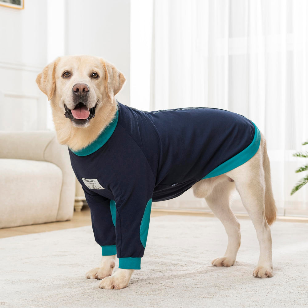 Ajuste seguro Yeapeeto para labradores y perros dorados: sujeción estable y suave.