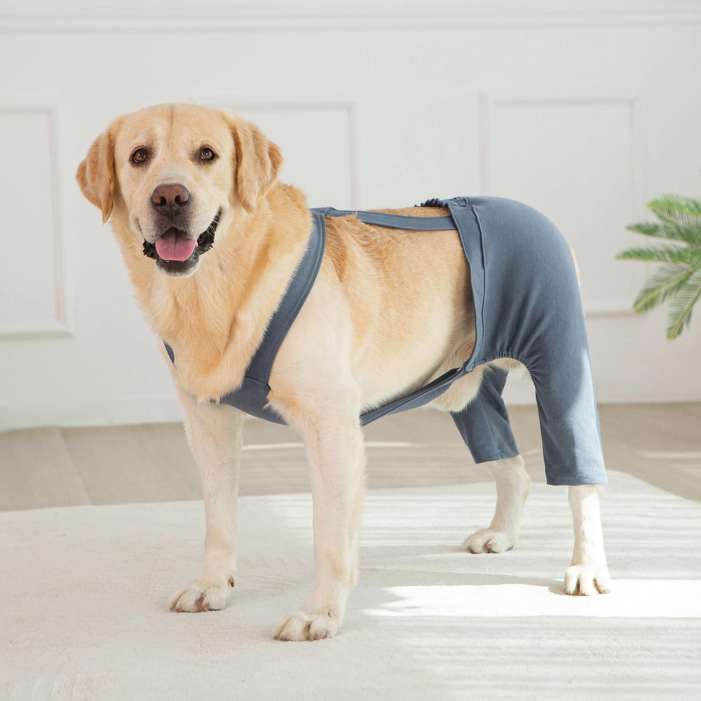 Yeapeeto manga en uso diario, versátil como pantalón cómodo para tu perro.