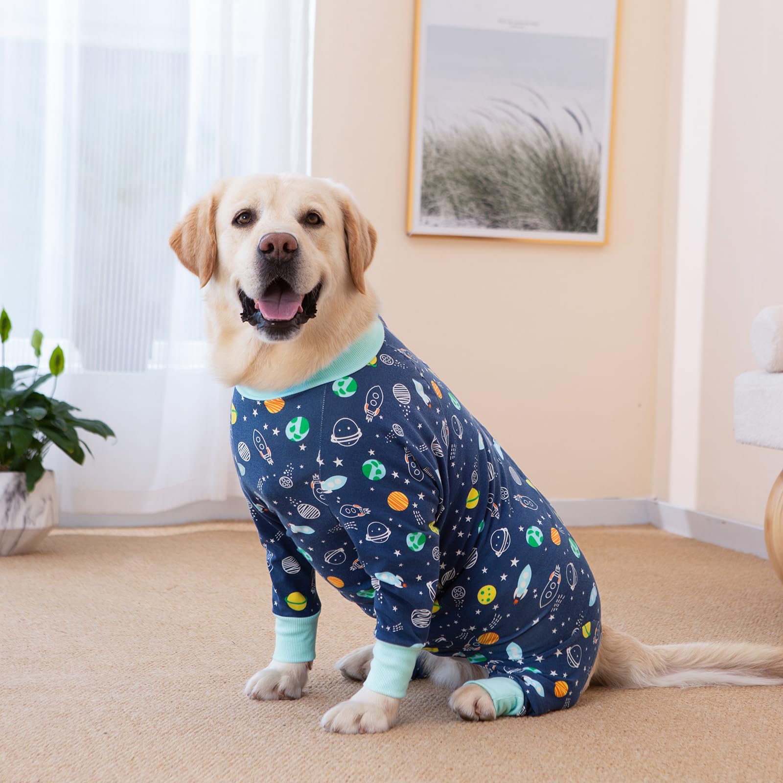 Yeapeeto traje de recuperación para perro lavable a máquina.
