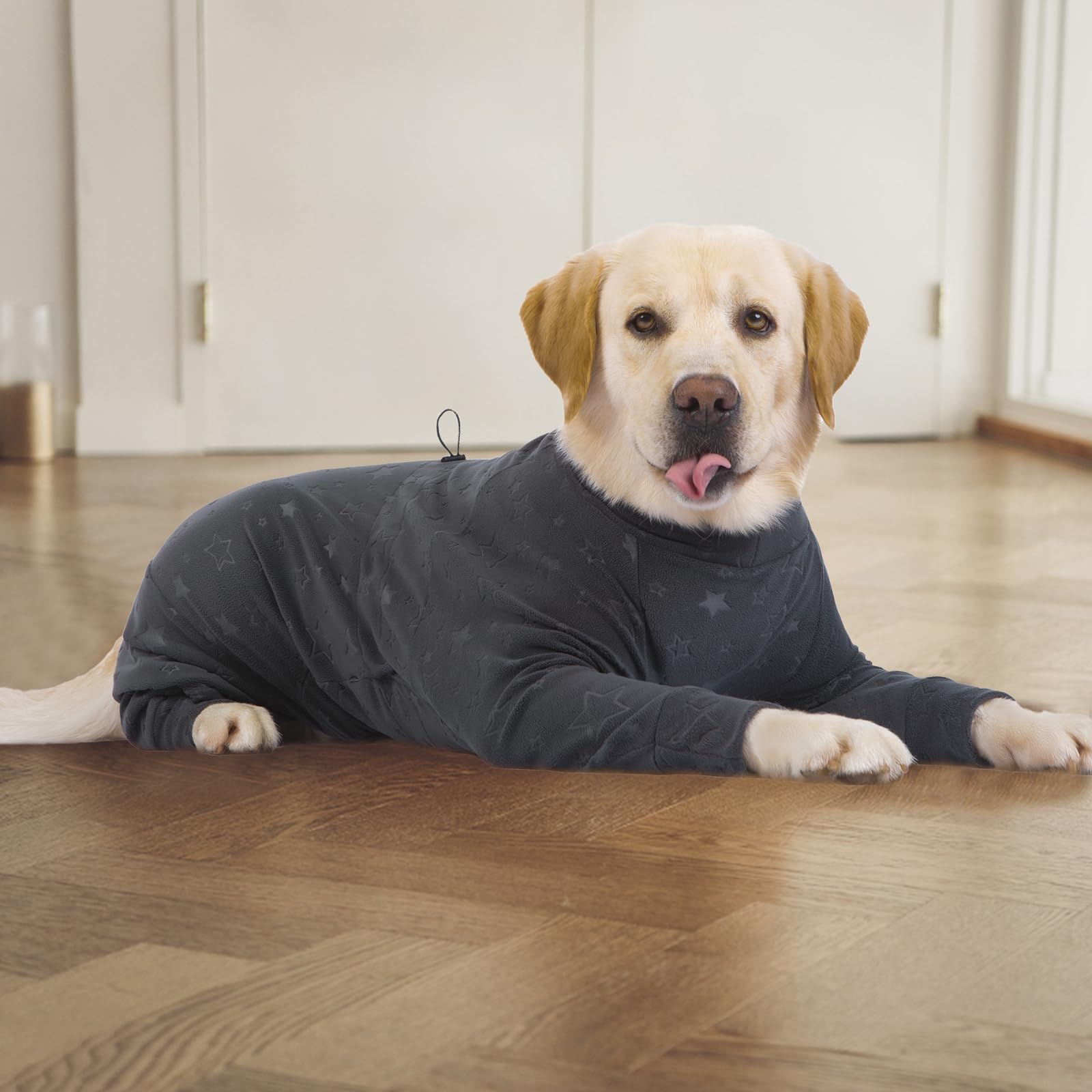Yeapeeto varios tamaños: talla adecuada para perros grandes y medianos.
