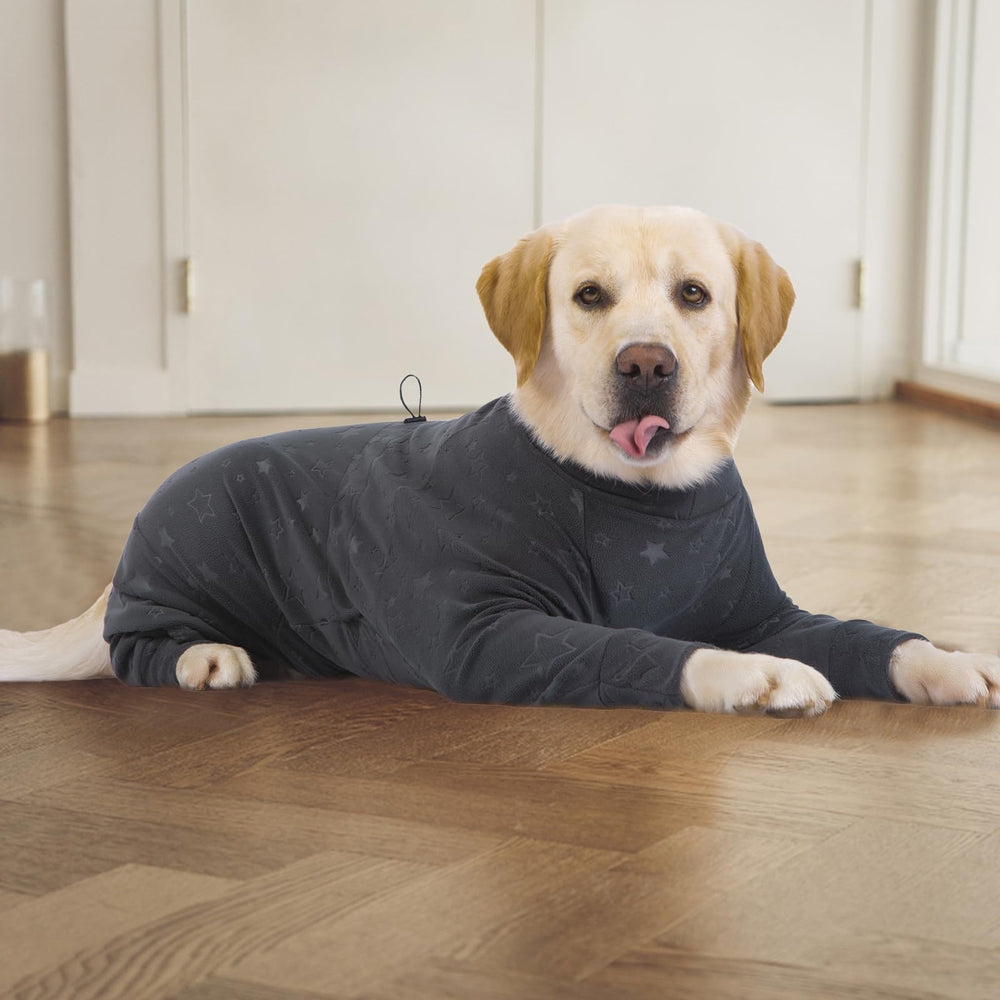 Yeapeeto varios tamaños: talla adecuada para perros grandes y medianos.