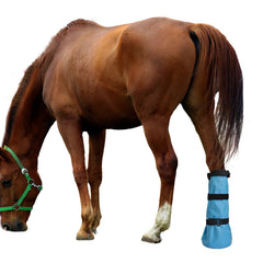 yeezo bota remojo cascos diámetro máximo 8 pulgadas para caballos