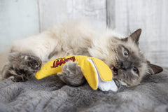 Yeowww! Chi-CAT-a plátano persecución en sala para actividad suave.