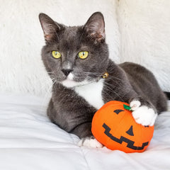 Fabricado en Estados Unidos, Yeowww, juguete seguro para gatos y sesiones de juego