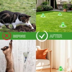 Deterrente de menta para interiores de YERBAFI mantiene sofás limpios.